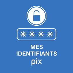 Mes identifiants de la plateforme PIX